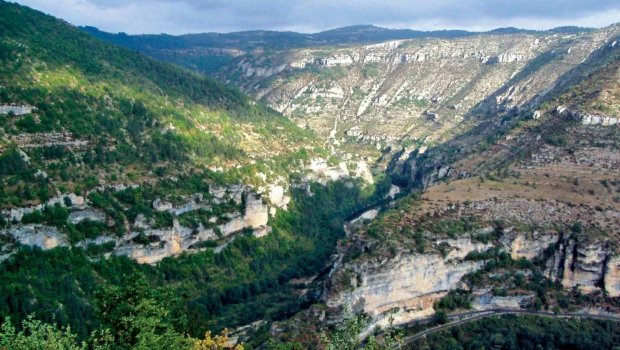 Şəmkirdə dərədən meyiti tapılan şəxsin qətlə yetirildiyi MƏLUM OLDU