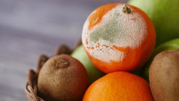 Meyvə-tərəvəz niyə tez xarab olur? - Mətbəxdə edilən ən yayğın səhv