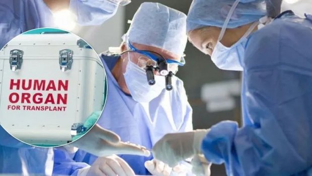 Azərbaycanda mindən çox şəxsin donora ehtiyacı var &ndash; RƏSMİ