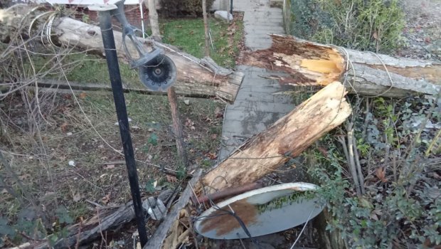 İsmayıllıda güclü külək fəsadlar törətdi - FOTO/VİDEO