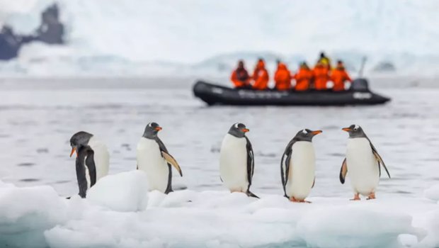 Antarktidada iş elanı - 70 min manat maaş, limitsiz yemək...