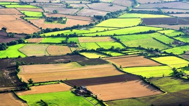 Ötən il neçə hektar torpaq bələdiyyələr tərəfindən QANUNSUZ AYRILIB?