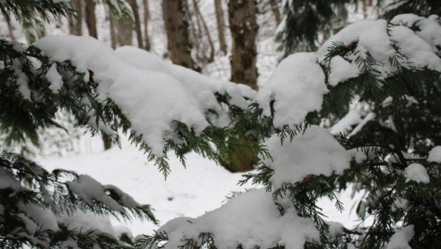 Yağıntılar nə vaxt kəsiləcək? - VİDEO