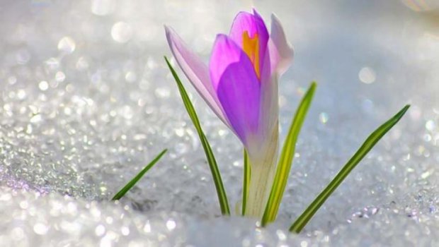 Azərbaycanda Boz ay bu tarixdə başlayır