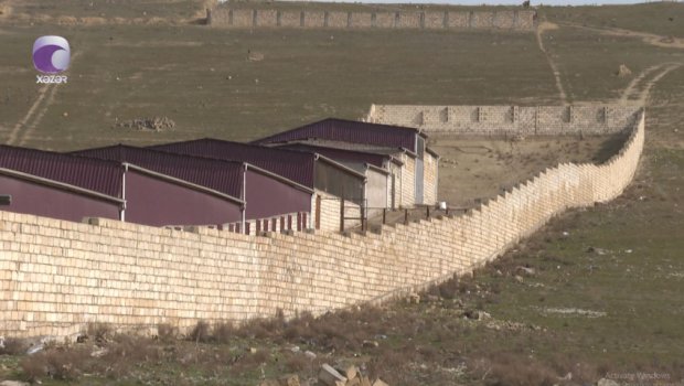 Novxanıda ferma sahibi ilə sakinlər arasında NARAZILIQ - VİDEO