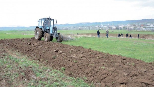 Qırmızı Bazarda əkin işi ilə məşğul olmaq istəyənlərin NƏZƏRİNƏ