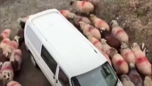 Türkiyədə hamı bu paranormal hadisədən danışır &ndash; VİDEO