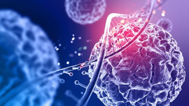 Bu meyvə xərçəngin dərmanıdır