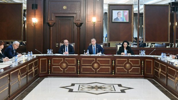 &ldquo;Yerin təki haqqında&rdquo; Qanunda dəyişiklik edilir - VİDEO