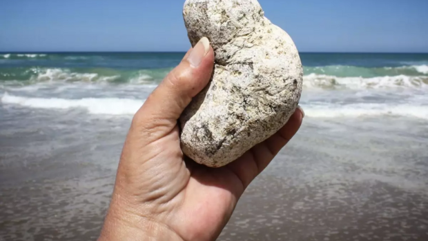 Adi bir daş kimi görünür, sahildə tapan varlanır - FOTO