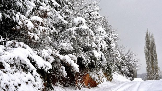 FAKTİKİ HAVA: Daşkəsən və Şahdağa qar yağır