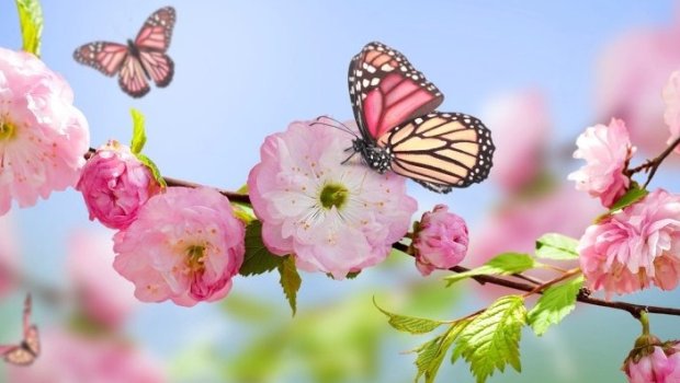 Azərbaycana yaz fəsli BU TARİXDƏ daxil olacaq &ndash; Saat AÇIQLANDI