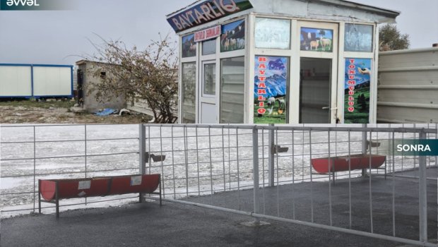 Kürdəmirdəki heyvan bazarı açıldı - FOTO/VİDEO