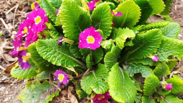 Bu bölgəmizdə temperatur yenidən aşağı endi - FOTO