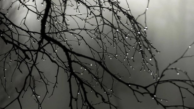 Sabahın HAVASI: Çiskin, qar...