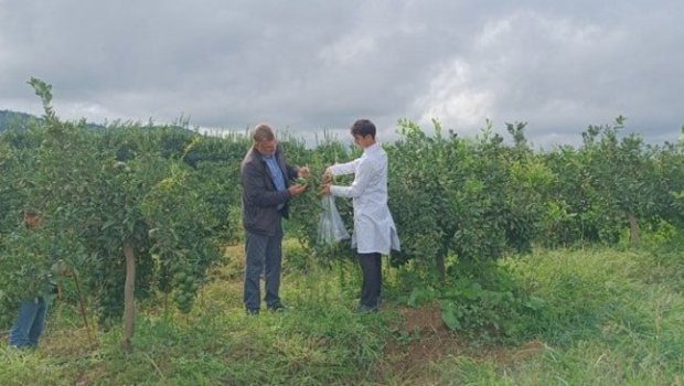 Normadan isti FEVRAL &ndash; Zərərvericilərin sayı ARTIR?