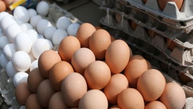 Yumurta ucuzlaşacaq - BU TARİXDƏN