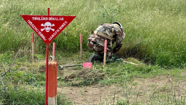 FHN minatəmizləmə fəaliyyətində iştirak edəcək &ndash; FƏRMAN