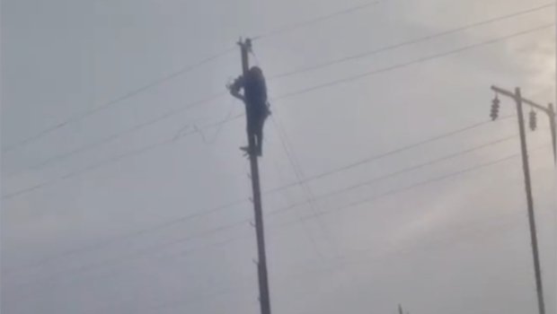 Güclü küləyin yaratdığı fəsadlar aradan qaldırıldı