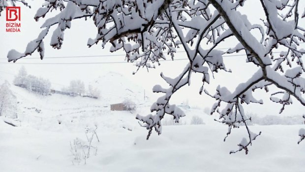 Qışın son günündə təbiət SÜRPRİZİ &ndash; FOTO