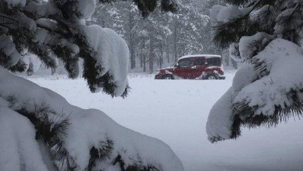 Qaxda qarın hündürlüyü 40 sm-ə ÇATDI &ndash; VİDEO