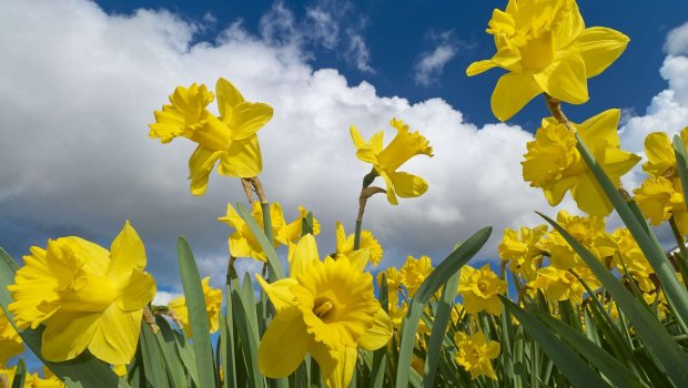 Martın ilk iş günündə hava necə olacaq?
