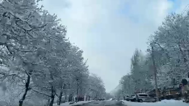 İlisu kəndi qar yağanda nağıllar aləminə bənzəyir - VİDEO