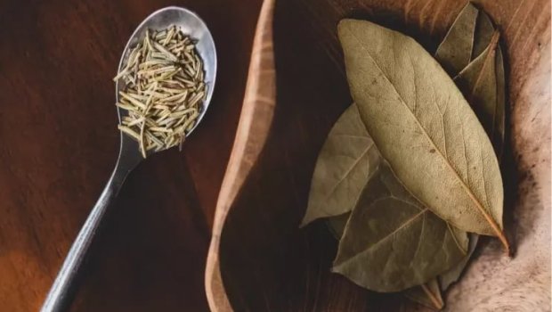 Mart ayının 4 günündə dəfnə yarpağı yandırın: həyatınız kəskin dəyişə bilər