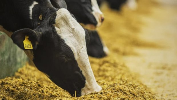 AQTA-dan fermerlərə ÇAĞIRIŞ: &ldquo;Heyvanları vaxtında&hellip;&rdquo;