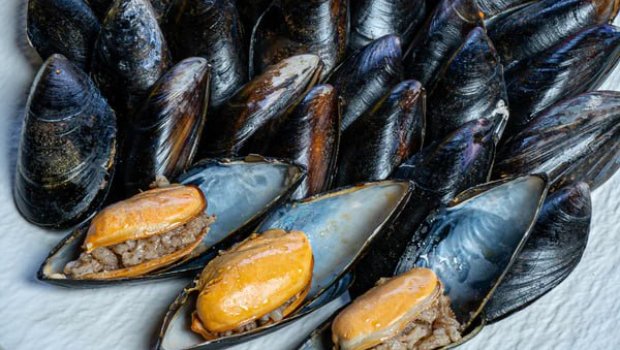 Midyələrdə ölümcül virus AŞKARLANDI &ndash; Azərbaycana da gətirilir?