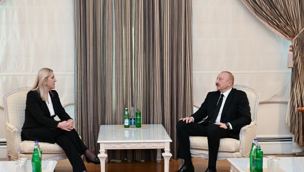 İlham Əliyev Jelka Tsviyanoviç ilə görüşdü &ndash; FOTO