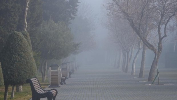 GÜNÜN HAVASI: 14 dərəcə isti, duman...