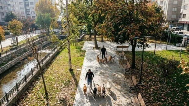 Gördüyü işdən ayda 7500 qazanır: Heç bir xərci yoxdur, qazancı özünə qalır