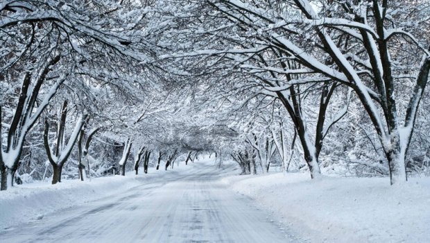 Şahdağ və Qrıza qar yağır - FAKTİKİ HAVA