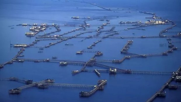 Neft Daşlarında meyit tapıldı