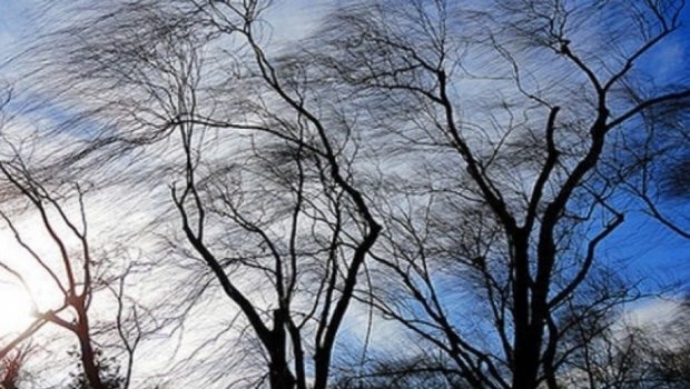 Azərbaycanda küləkli hava ilə bağlı SARI XƏBƏRDARLIQ