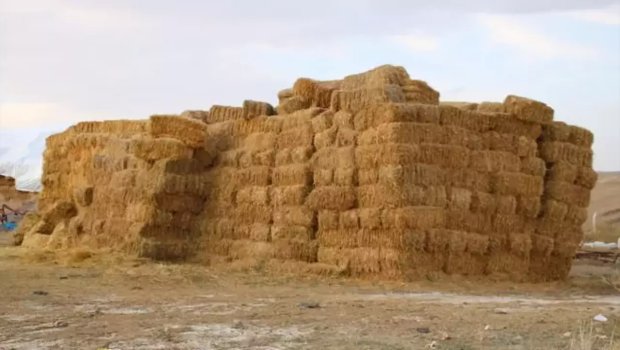Yevlaxda ot bağlamalarının üzərindən yıxılan 72 yaşlı kişi vəfat etdi