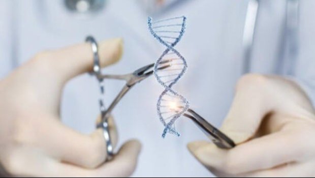 Azərbaycanda insanın klonu patent obyekt kimi qəbul EDİLMƏYƏCƏK