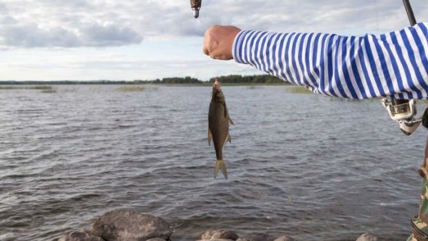 Sabahdan Azərbaycanda balıq ovu QADAĞAN EDİLİR