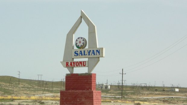 Salyanda yol kənarında meyit tapıldı