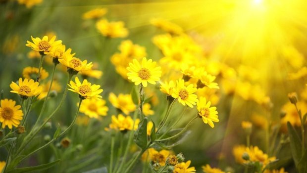 SABAHIN HAVASI: Bəzi yerlərdə duman olacaq