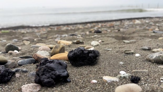 Xəzərin Lənkəran sahillərində neft qalıqlarının yayılması ilə bağlı AÇIQLAMA - FOTO