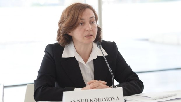 Aynur Kərimova yeni vəzifəyə TƏYİN OLUNDU