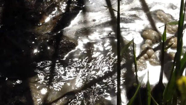Zığ sakinləri təhlükə içində: "Uşaq gözümün qabağında kanala düşdü" - VİDEO