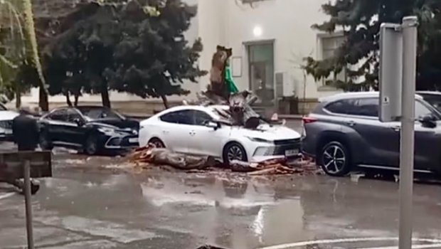 Nəhəng ağac &ldquo;BYD&rdquo;nin üstünə aşdı &ndash; VİDEO