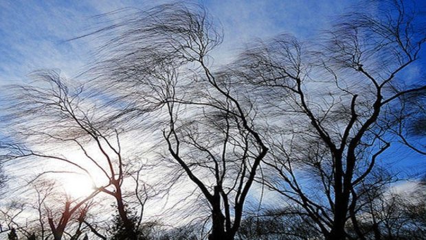 Küləkli hava ilə bağlı XƏBƏRDARLIQ