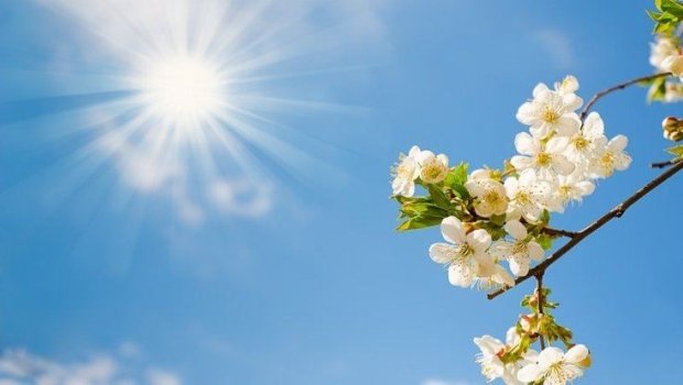 Bu gün 23 dərəcə isti olacaq