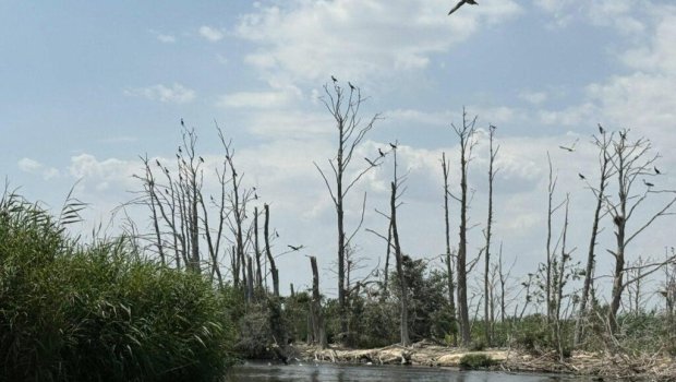 Qobustanda uşaq gölməçəyə düşərək ölüb