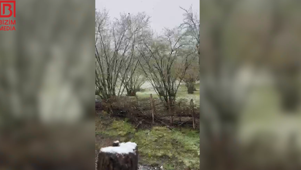 Zaqatalaya qar YAĞIR &ndash; VİDEO