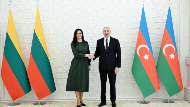 İlham Əliyev Litvanın Baş naziri ilə görüşdü - FOTO